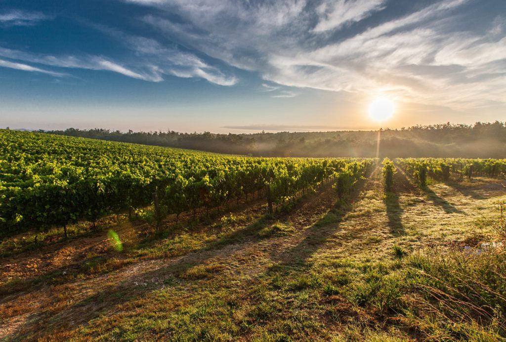 Farming is All About the Do-it-yourself Approach